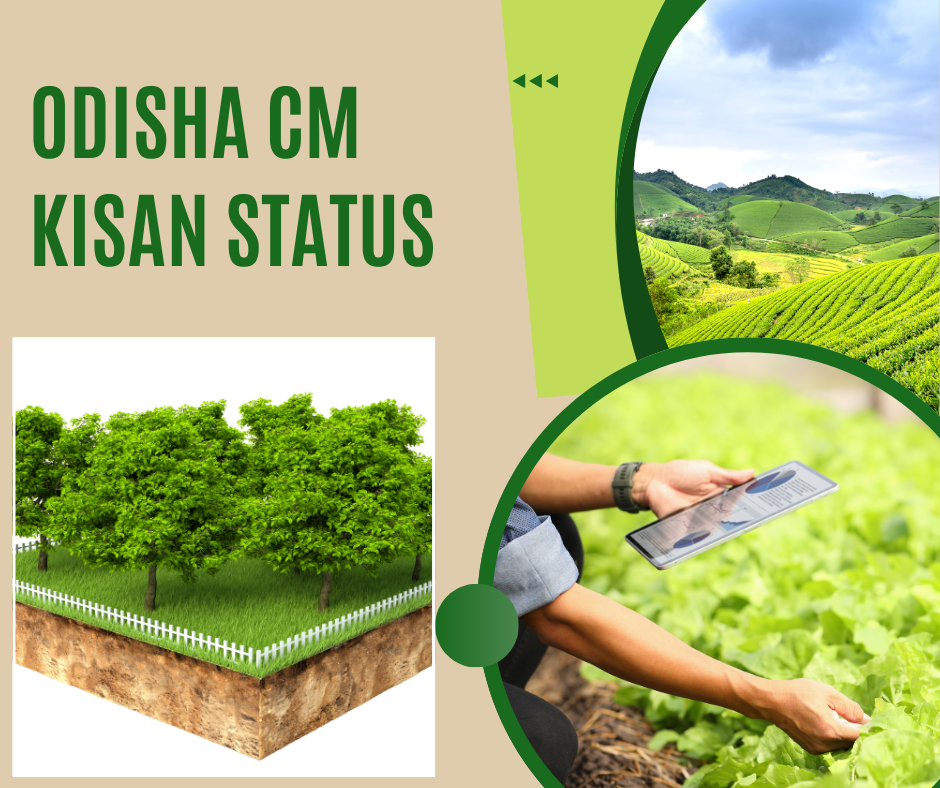 Odisha CM Kisan Status 2024: Check at cmkportal.odisha.gov.in, Next Installment Payment
