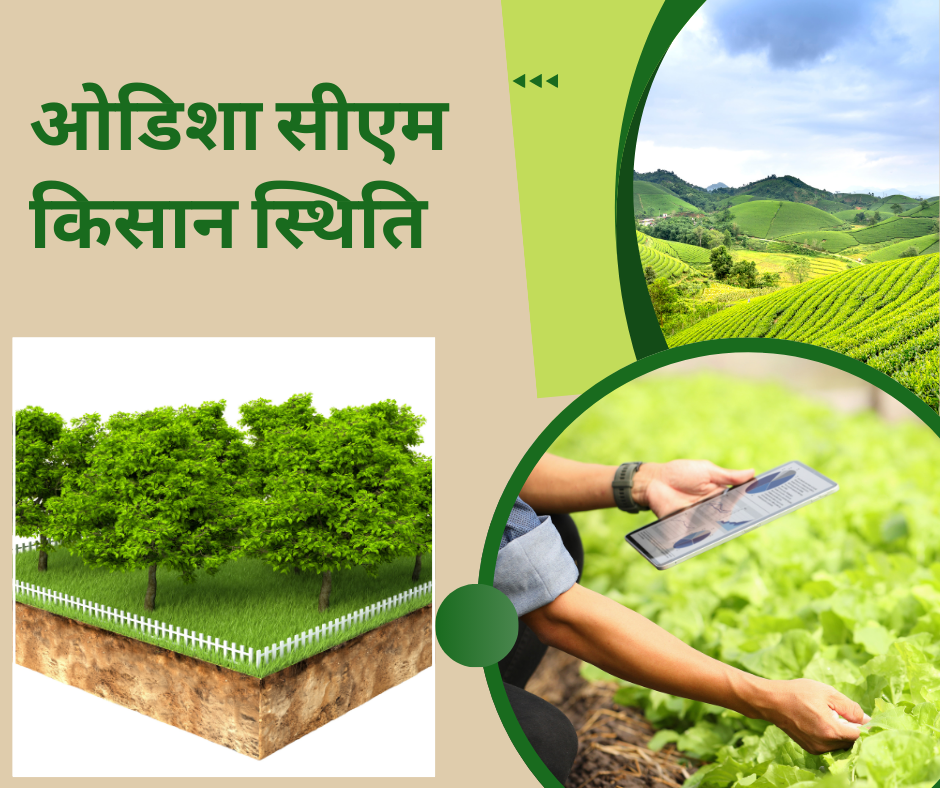 Odisha CM Kisan Status 2024: Check at cmkportal.odisha.gov.in, Next Installment Payment