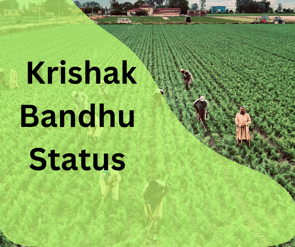  Krishak Bandhu status pmschemeyojna.com
